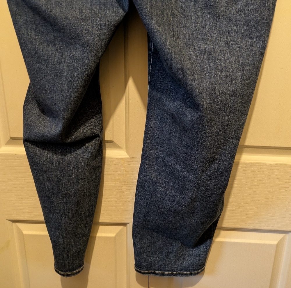 Jag Mid Rise Cecilia Skinny In Sky Blue Plus Size 22W New With Tags! - Picture 14 of 16